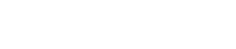 Steinmiller Logo